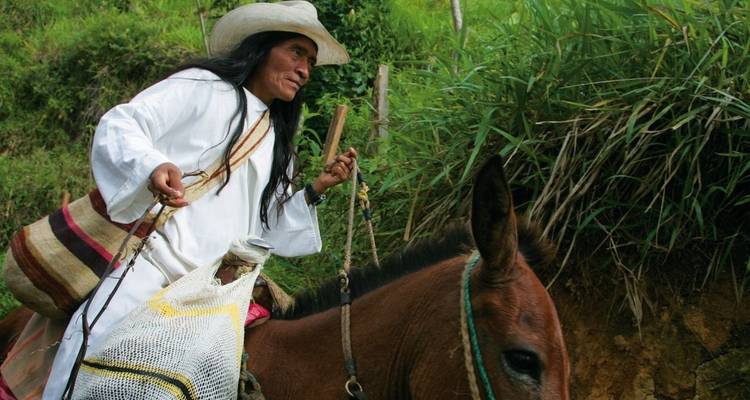 Una persona con vestimenta tradicional montando una mula en una zona boscosa.