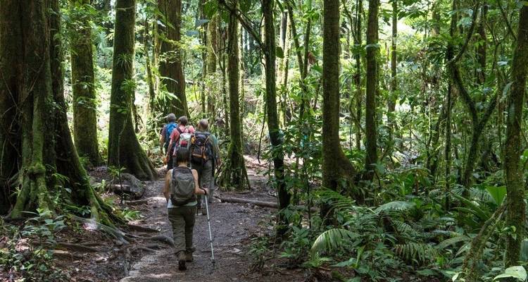 El oeste de Costa Rica: entre playas de ensueño y naturaleza pura - DIAMIR Erlebnisreisen 7