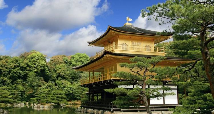 Goldener Pavillon umgeben von üppigem Grün.