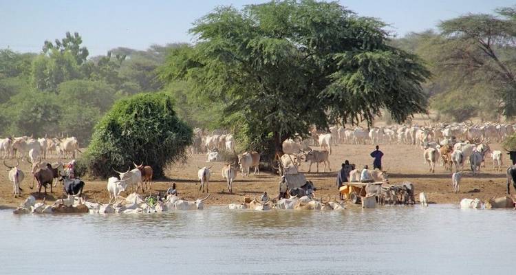 Grand Tour Senegal with Calabash Festival - DIAMIR Erlebnisreisen 7