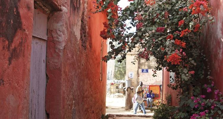 Eine schmale Gasse mit roten Wänden und blühenden Ranken.