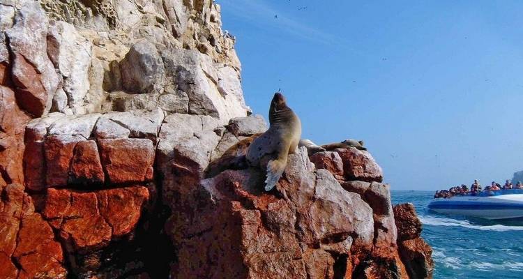In the Realm of the Inca - DIAMIR Erlebnisreisen 10