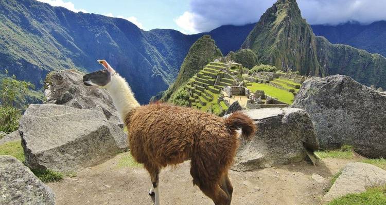 In the Realm of the Inca - DIAMIR Erlebnisreisen 7