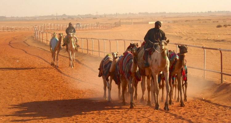 In the Kingdom of Sa'ud - DIAMIR Erlebnisreisen 2
