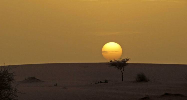 Dans l'œil du Sahara - DIAMIR Erlebnisreisen 5