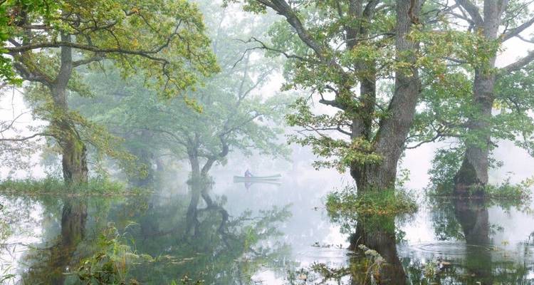 Belleza salvaje en los Países Bálticos: páramos, bosques, islas del Mar Báltico - DIAMIR Erlebnisreisen 10