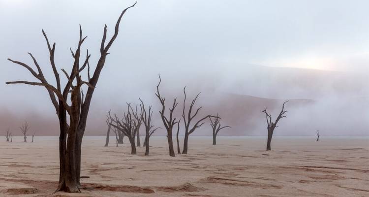 Del mar desierto al Zambeze - DIAMIR Erlebnisreisen 4