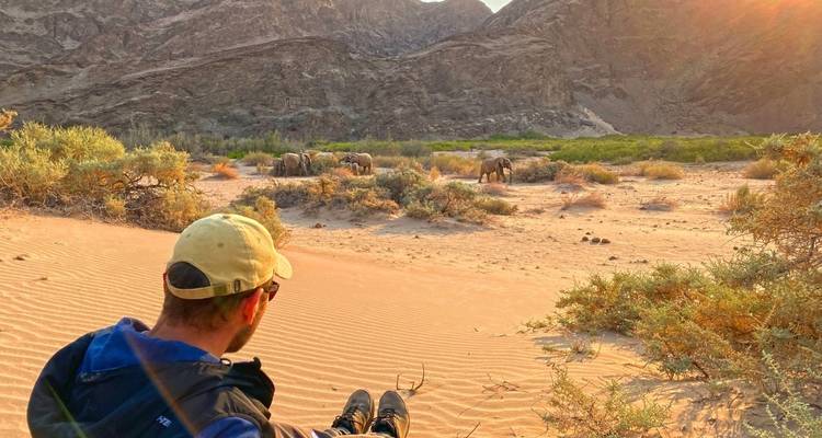 Person sitting on sand with elephants in the background.