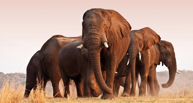 From Etosha National Park to Fish River Canyon - DIAMIR Erlebnisreisen 6