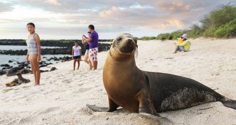 Highlights of Ecuador and Galapagos Island Hopping - DIAMIR Erlebnisreisen 4
