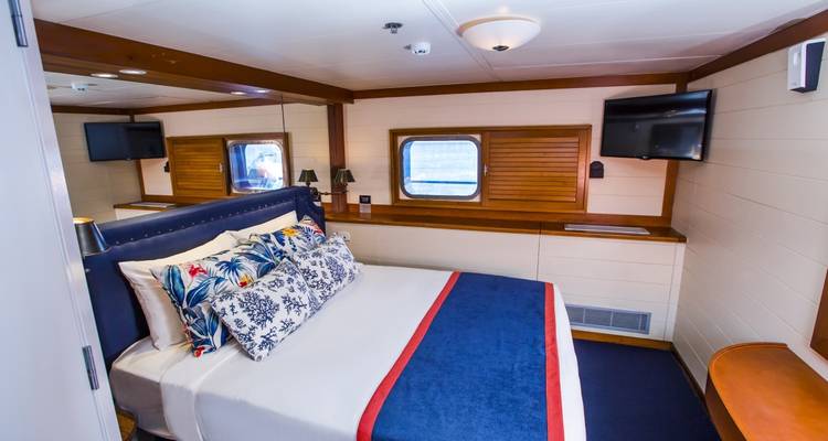 Intérieur d'une cabine de bateau de croisière avec un lit et des fenêtres.