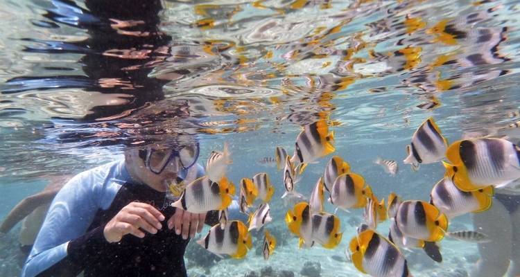 Rangiroa Dream - Cruise in Tuamotu Archipelago - DIAMIR Erlebnisreisen 7