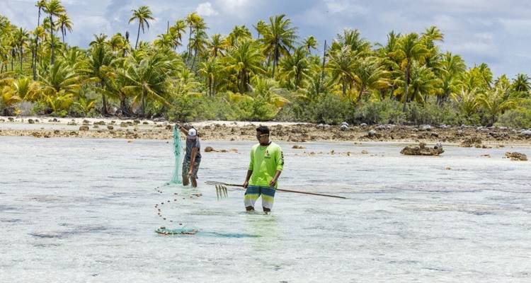 Rangiroa Dream - Cruise in Tuamotu Archipelago - DIAMIR Erlebnisreisen 8