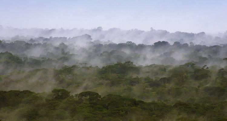 South America: Off the Beaten Track Deep Into the Rainforest - DIAMIR Erlebnisreisen 1