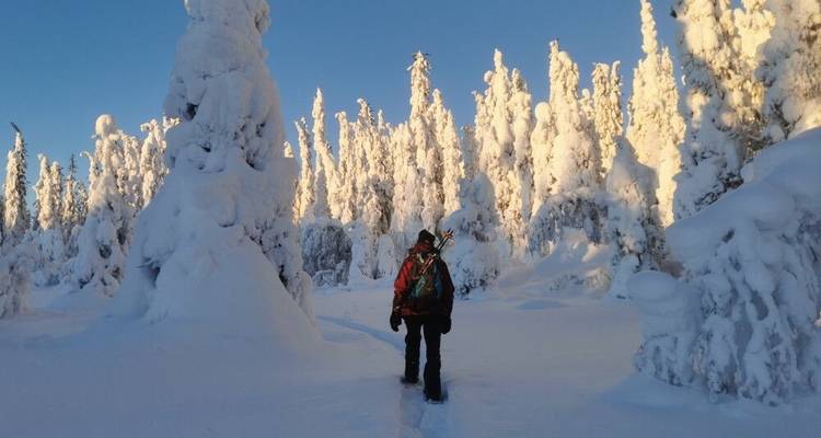 A winter dream in Swedish Lapland - DIAMIR Erlebnisreisen 5