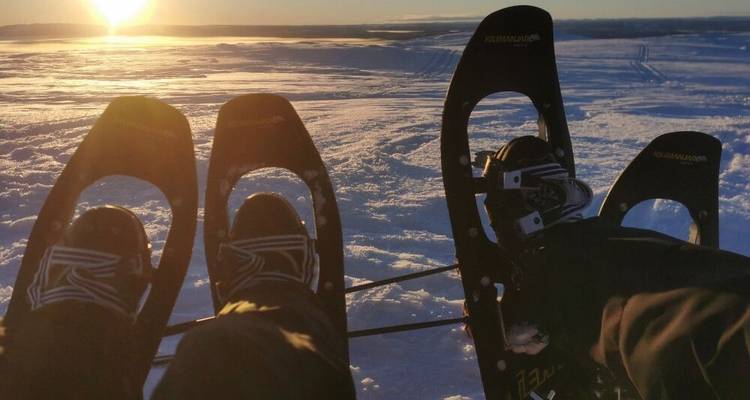 A winter dream in Swedish Lapland - DIAMIR Erlebnisreisen 2