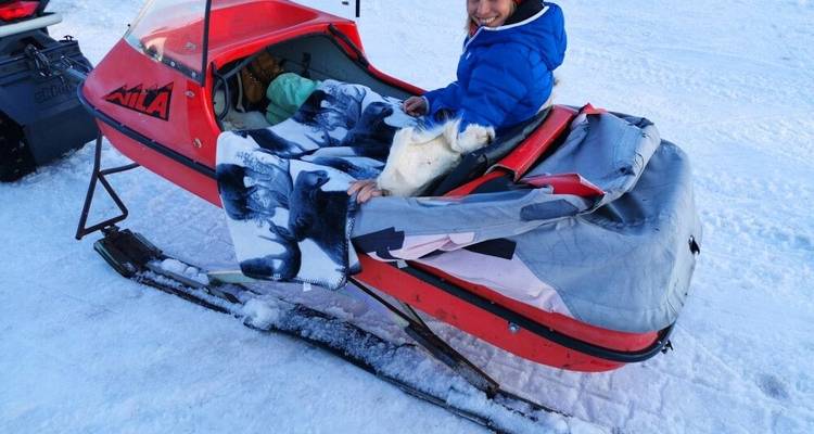 A winter dream in Swedish Lapland - DIAMIR Erlebnisreisen 7