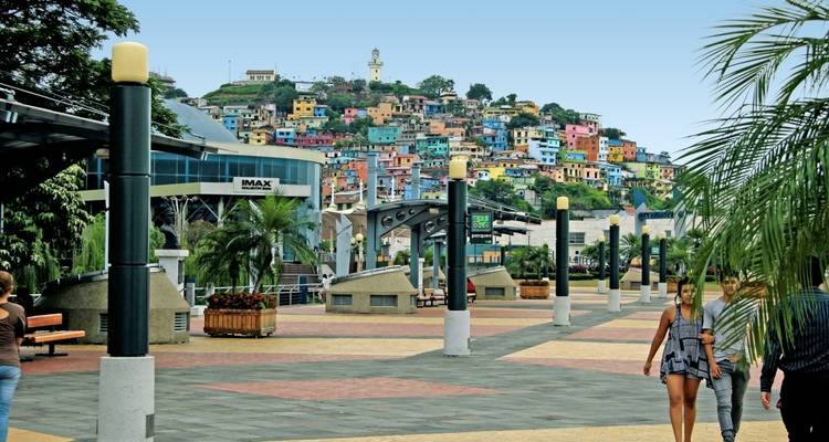 Colorful hillside neighborhood with modern architecture nearby.