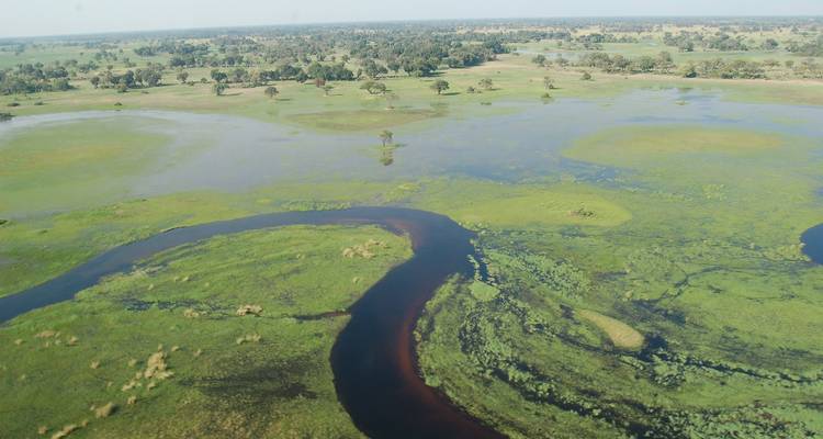 Expérience de 5 jours dans le delta de l'Okavango et la réserve de Moremi - The Mzansi Experience 7