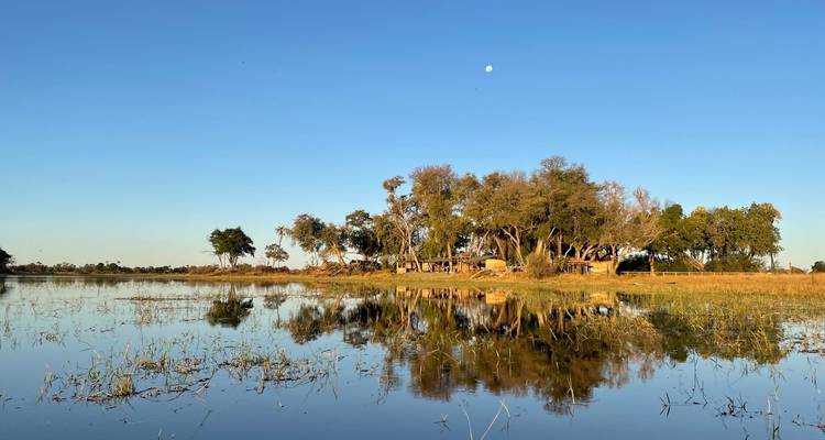 Expérience de 5 jours dans le delta de l'Okavango et la réserve de Moremi - The Mzansi Experience 9