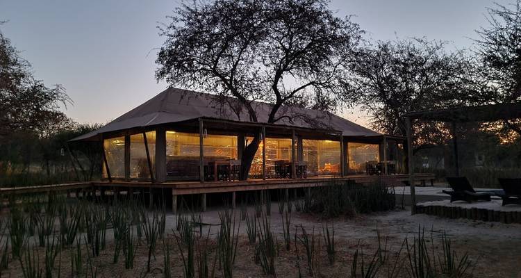 Expérience de 5 jours dans le delta de l'Okavango et la réserve de Moremi - The Mzansi Experience 10