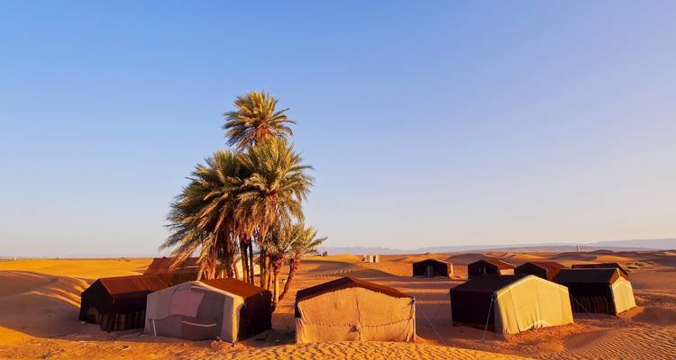 Palmbomen en tenten in een woestijnlandschap met zandduinen.