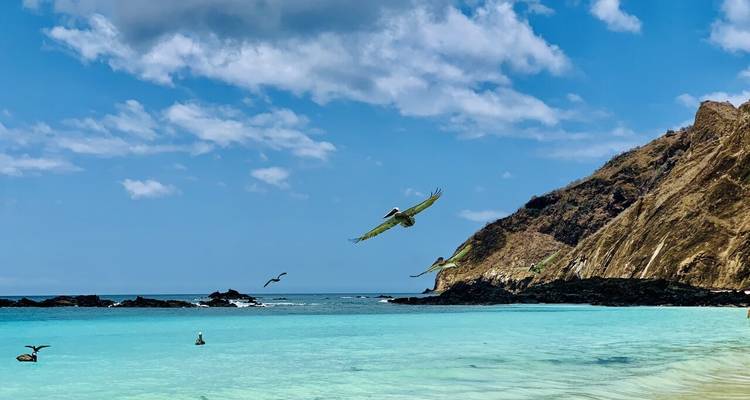 10 Days Galapagos Highlights Small Group Tour - Responsible Travel South America 2