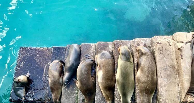 10 Days Galapagos Highlights Small Group Tour - Responsible Travel South America 7