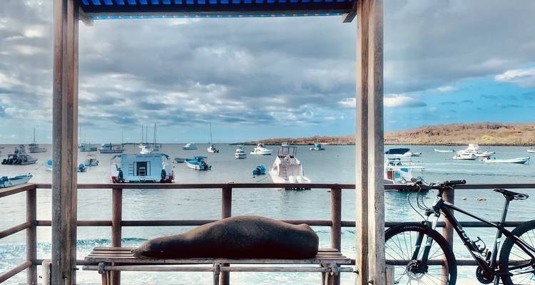 10 Days Galapagos Highlights Small Group Tour - Responsible Travel South America 8