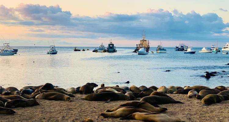 10 Days Galapagos Highlights Small Group Tour - Responsible Travel South America 10