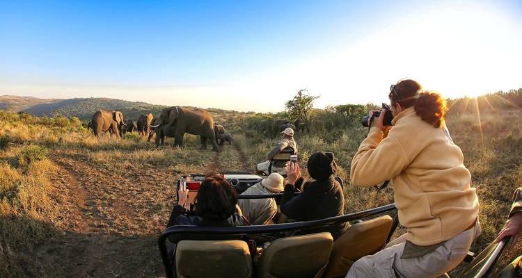 Experiencia en la reserva de Caza Thula Thula 4 días /3 noches - Across Africa Tours & Travel 2