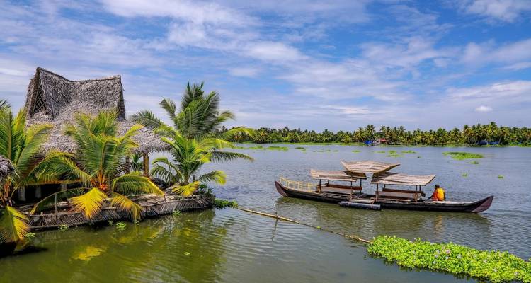 La encantadora Kerala: cascadas, plantaciones de té y aguas estancadas - Agora Voyages OPC Pvt Ltd 2