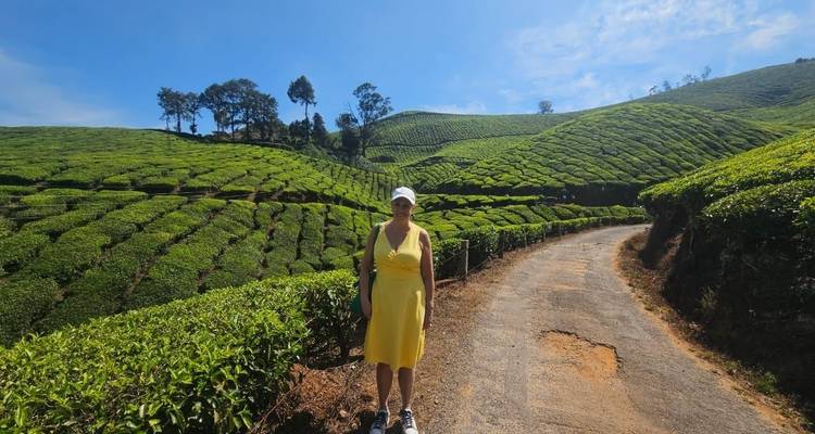 La encantadora Kerala: cascadas, plantaciones de té y aguas estancadas - Agora Voyages OPC Pvt Ltd 3