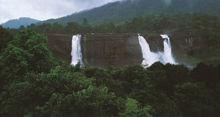 Ein üppiger Waldwasserfall mit umgebendem Grün.