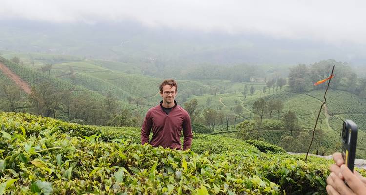 Mann steht in einer Teeplantage mit sanften Hügeln.