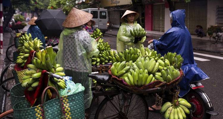 Trésors du Vietnam en 12 jours - Vietnam Tour Fun 3
