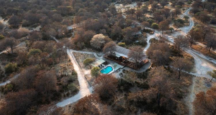 4-Day Okavango Delta & Moremi Mobile Camping Safari - The Mzansi Experience 2