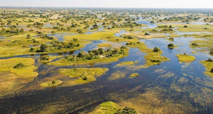 Safari en camping mobile au Botswana - Okavango, Moremi, Savuti, Nxai Pans - 10 jours - The Mzansi Experience 9