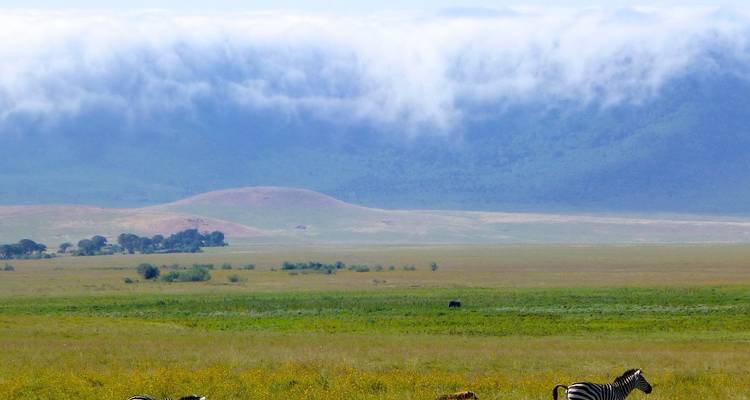 Tanzania safari For Cruisers 4Days / 3nights ( Luxury) - Across Africa Tours & Travel 6