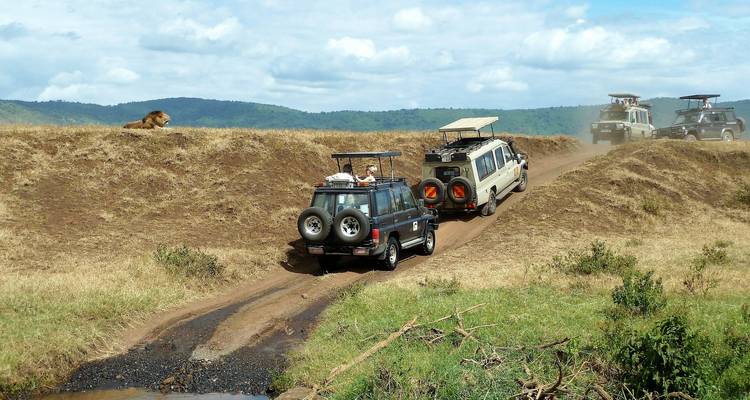 Tanzania safari For Cruisers 4Days / 3nights ( Luxury) - Across Africa Tours & Travel 7