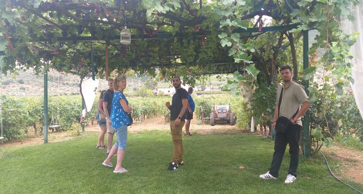 Rutas del Vino del Peloponeso - 4 Días Privado, guiado, historia, culinario - Epos Travel & Tours 3