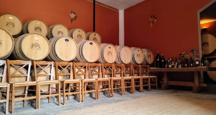 Rutas del Vino del Peloponeso - 4 Días Privado, guiado, historia, culinario - Epos Travel & Tours 9