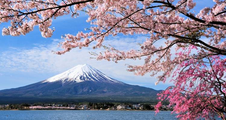 Essence du Japon - 8 jours et 7 nuits - UTOvacation 2