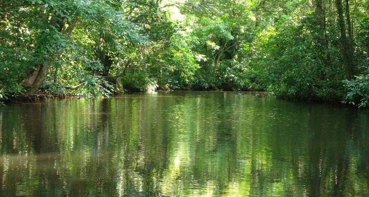 EXPLORE TORTUGUERO – 3 DAYS OF PURE TROPICAL MAGIC - Receptivo Aborigen Tours 7