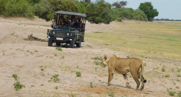 Chobe, Okavango et Etosha - 14 jours - On The Go Tours 2