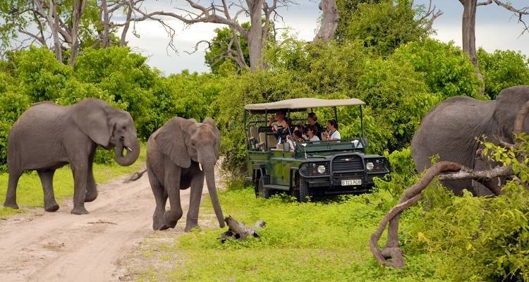 Chobe, Okavango et Etosha - 14 jours - On The Go Tours 9