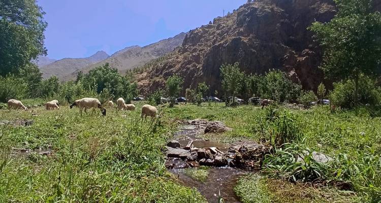 Altas Mountain  and Desert Tour Combined Morocco - 8 days - View Morocco 2