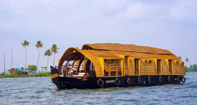 Traditionelles Hausboot, das auf einem Gewässer schwimmt, mit Kokospalmen im Hintergrund.