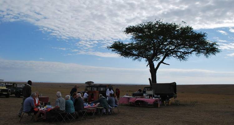 Group having a picnic under a lone tree in a savannah.