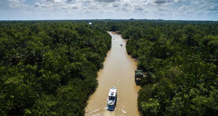 A boat navigating a narrow river through dense rainforest.